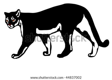 American mountain lion (Felis concolor coryi)