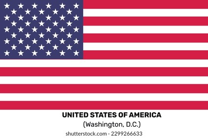 American National Flag Vector US Flag
