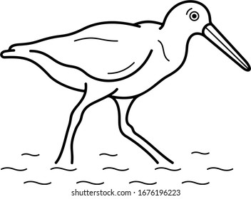 American Oystercatcher. Vector outline icon.