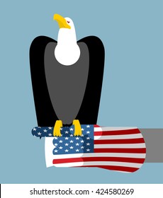 American patriotic eagle hunting. Bald large bird sitting on glove of USA flag. National symbol of America
