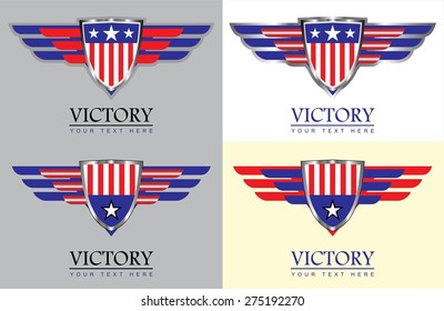 American patriotic wings. decorated with the stars and stripes . Wings of American.