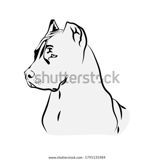 Download American Pit Bull Svg Terrier Svg Stock Vector Royalty Free 1795135984