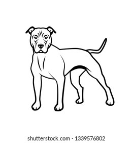 American Pit Bull Terrier dog - isolated vector illustration