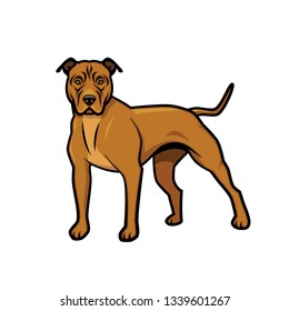 American Pit Bull Terrier dog - isolated vector illustration