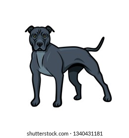 American Pit Bull Terrier dog - isolated vector illustration