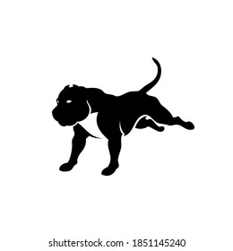American Pit Bull Terrier dog - isolated vector illustration
