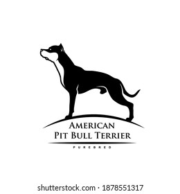 American Pit Bull Terrier dog - isolated vector illustration