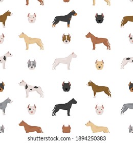 American pit bull terrier dogs set. Color varieties, different poses. Seamless pattern. Vector illustration