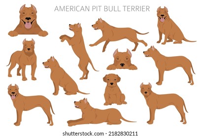 Clípart de los perros de los "pit bull terrier dogs" norteamericanos. Variedades de color, infografía. Ilustración del vector