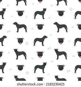 American pit bull terrier dogs seamless pattern. Color varieties, infographic. Vector illustration