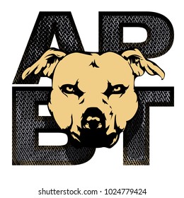 American Pit Bull Terrier head vector illustration