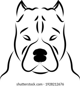 American pit bull terrier, illustration, vector on white background.