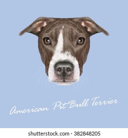 American Pit Bull Terrier Portrait. Vector illustrated portrait of Dog on blue background.