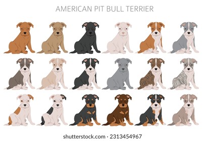 American pit bull terrier puppies clipart. Color varieties, infographic. Vector illustration