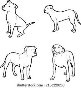 American Pit Bull Terrier Vector Illustration Hand Drawn Animal Cartoon Art