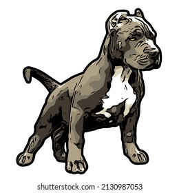 American Pitbull Bully Dog Illustration Vector Animal Desifg