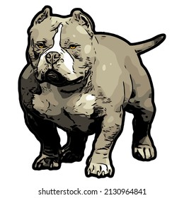 American Pitbull Bully Dog Vector Illustration Stock Vector (Royalty ...