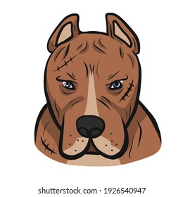 American pit-bull dog face cartoon vector illustration