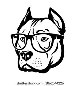 American Pitbull Terrier dog mit Brille - einzelne Vektorgrafik