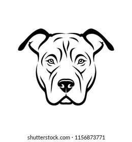 American Pitbull Terrier dog - isolated vector illustration