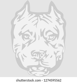 American Pitbull Terrier dog - isolated vector illustration. Head of dog breed pit bull. Fighting dog head silhouette. Stencil of pitbull head. Flat design, vector illustration, vector.