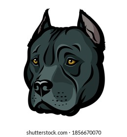 Perro norteamericano Pitbull Terrier - ilustración vectorial aislada