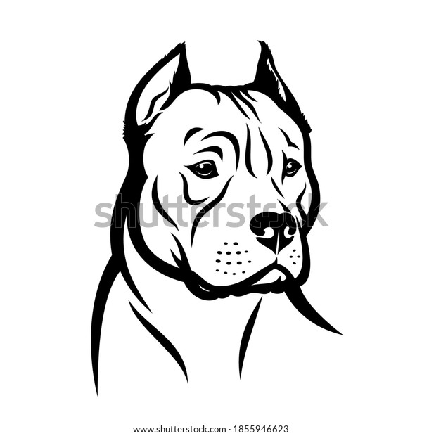 American Pitbull Terrier Dog Isolated Vector Stock Vector (Royalty Free ...