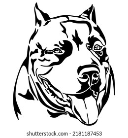 American Pitbull Terrier dog, vector illustration.