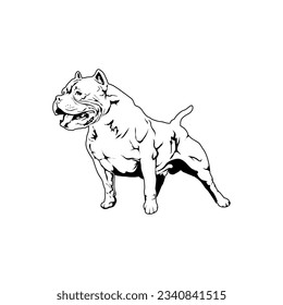 American Pitbull Terrier dog. vector illustration