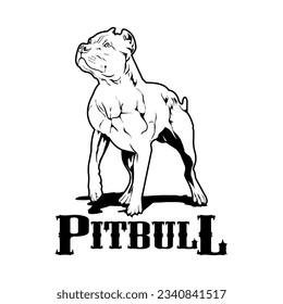 American Pitbull Terrier dog. vector illustration