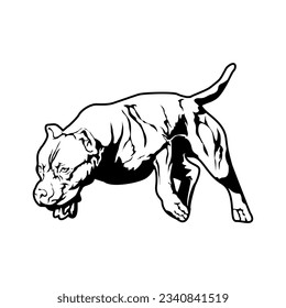 American Pitbull Terrier dog. vector illustration