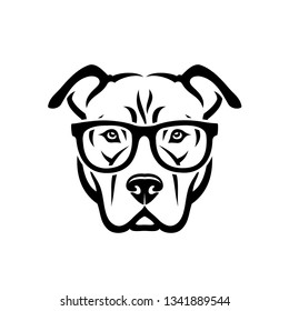 American Pitbull Terrier dog wearing sunglasses - isolated vector illustration