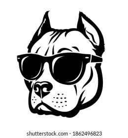 American Pitbull Terrier dog wearing sunglasses - isolated vector illustration