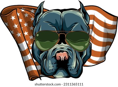 American Pitbull Terrier dog wearing sunglasses - isolated vector illustration