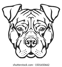 American Pitbull Terrier Face Dog. Breed Famous Dog. Cut Vector File. Symbol Illustration Design.