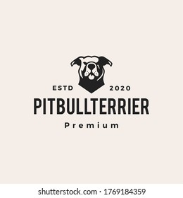 american pitbull terrier hipster vintage log vector icon illustration