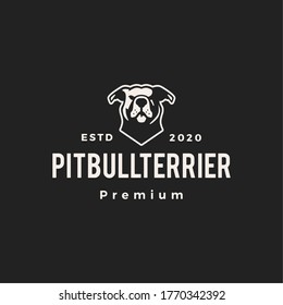 american pitbull terrier hipster vintage logo vector icon illustration