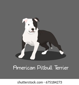 American Pitbull Terrier pet cartoon illustration graphic design