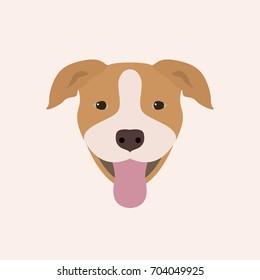 American Pitbull Terrier Portrait. Vector illustration portrait of Dog on white background.