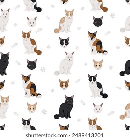 American Polydactyl cat seamless pattern. All coat colors set.  All cat breeds characteristics infographic. Vector illustration