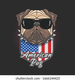 american pug and black glasses coll pug cute dog