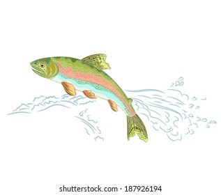 American rainbow trout jumps over the weir vector illustration 