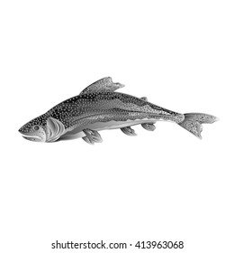 American rainbow trout salmon-predatory fish as wrought metal vintage vector illustration