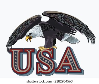 American Redoubtable  Eagle with USA flags