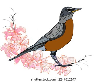 Ilustración vectorial de atracción robótica estadounidense