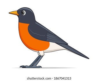 American Robin Bird On A White Background. Cartoon Style Vector Illustration