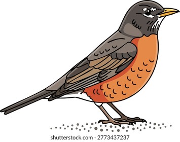 American robin bird with orange breast white background small bird common backyard animal kingdom songbird wildlife chestnut feathers standing illustration isolated