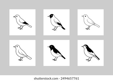 American Robin Bird set Vector Line Art Illustration. Detailed American robin bird vector line art illustration for digital and printable designs.