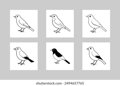 American Robin Bird set Vector Line Art Illustration. Detailed American robin bird vector line art illustration for digital and printable designs.