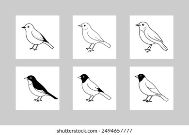 American Robin Bird set Vector Line Art Illustration. Detailed American robin bird vector line art illustration for digital and printable designs.